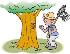 �F�̉�C���[�W